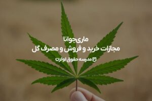 ماری‌ جوانا - مجازات خرید و فروش و مصرف گل - مدرسه حقوق لولرن