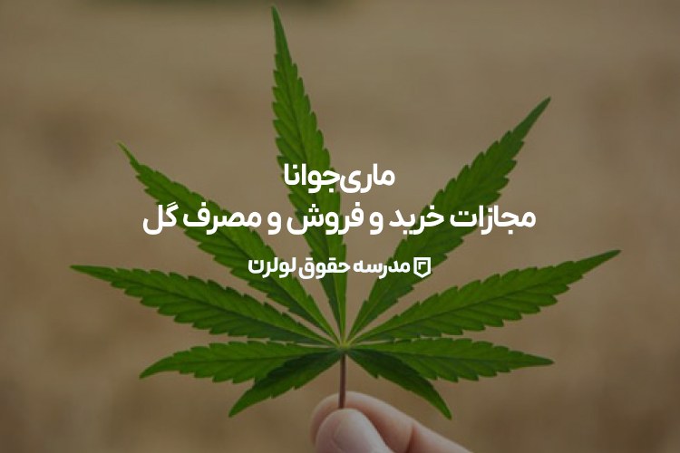ماریجوانا - مجازات خرید و فروش و مصرف گل - مدرسه حقوق لولرن