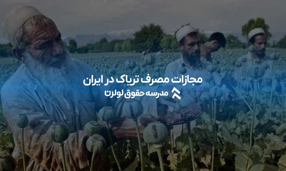مجازات مصرف تریاک در ایران: قوانین، عواقب و مجازات‌ها | تحلیل کامل عواقب قانونی مصرف تریاک قیمت تریاک